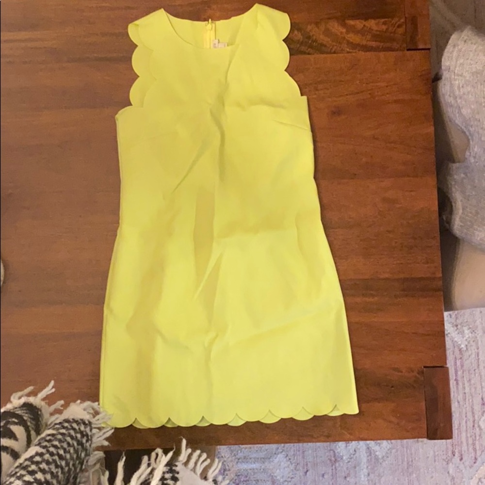 J.Crew Dress